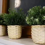 Morski Apartment *